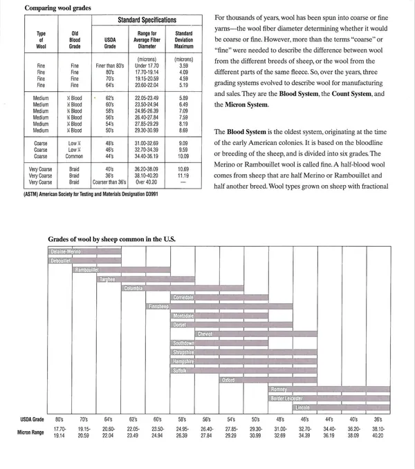 Table and Gantt chart showing project timeline and tasks.