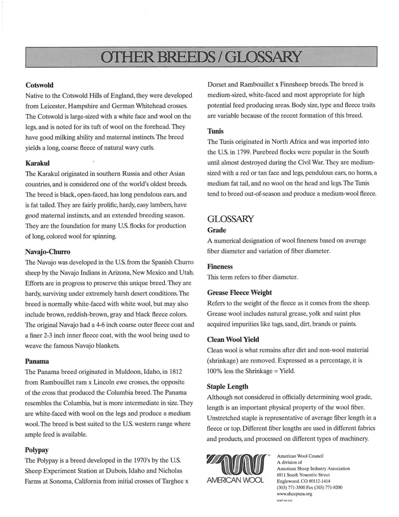Detailed infographic explaining the concept of causality with examples and diagrams.