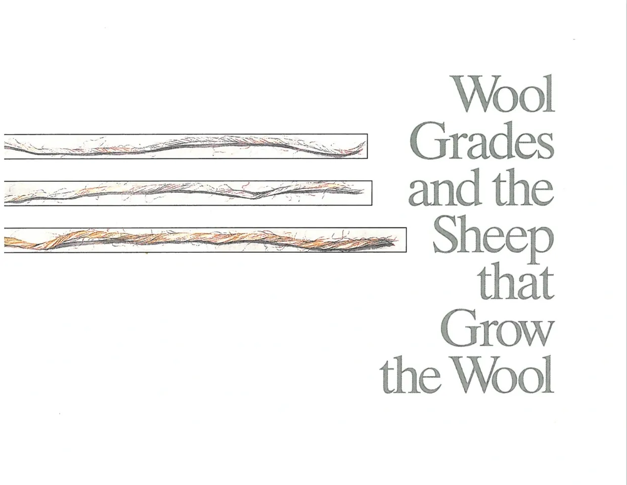Illustration of wool grades from sheep with different fleece lengths.