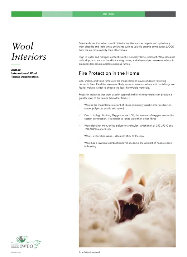 Cozy wool interiors with a peaceful sleeping dog.