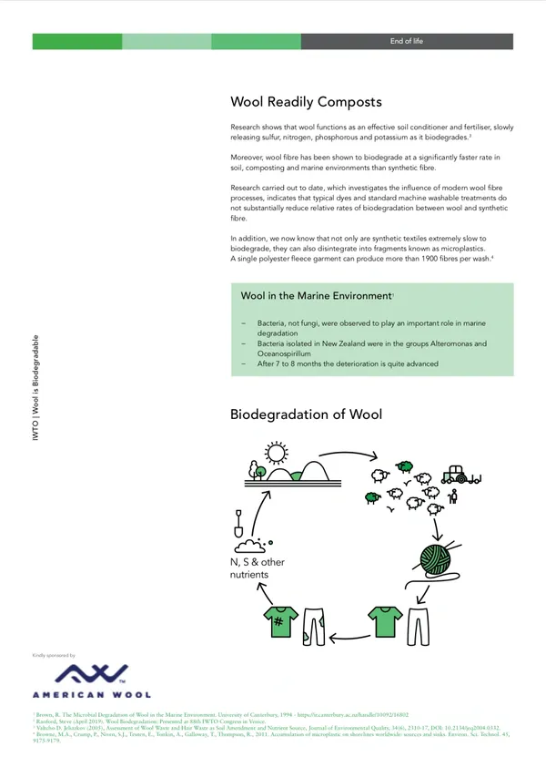 Illustration explaining wood biodegradation process with fungi and microbes.