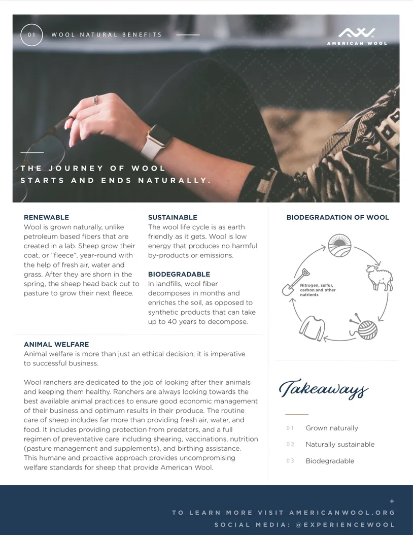 A detailed infographic explaining the journey of marketing, including phases and approach methods.