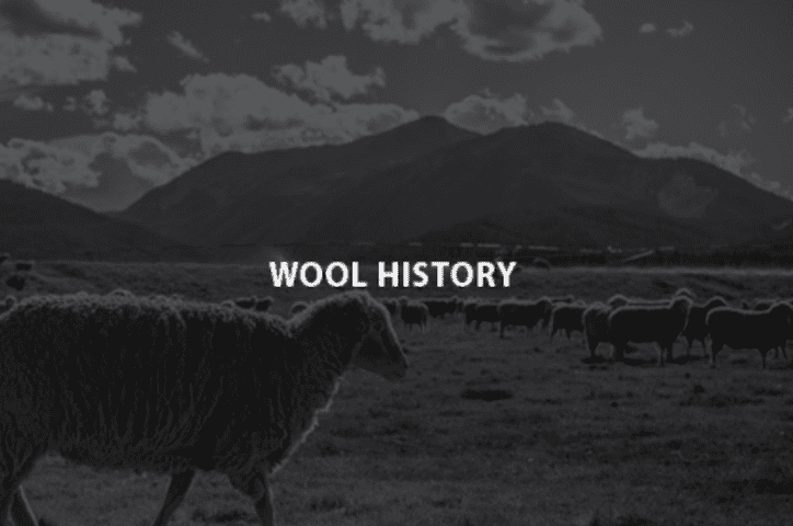 Sheep grazing under a cloudy sky with mountains in the background titled 'Wool History'.